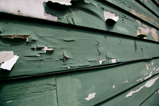 Best Same-Day Junk Removal Services  in Fremont, CA
